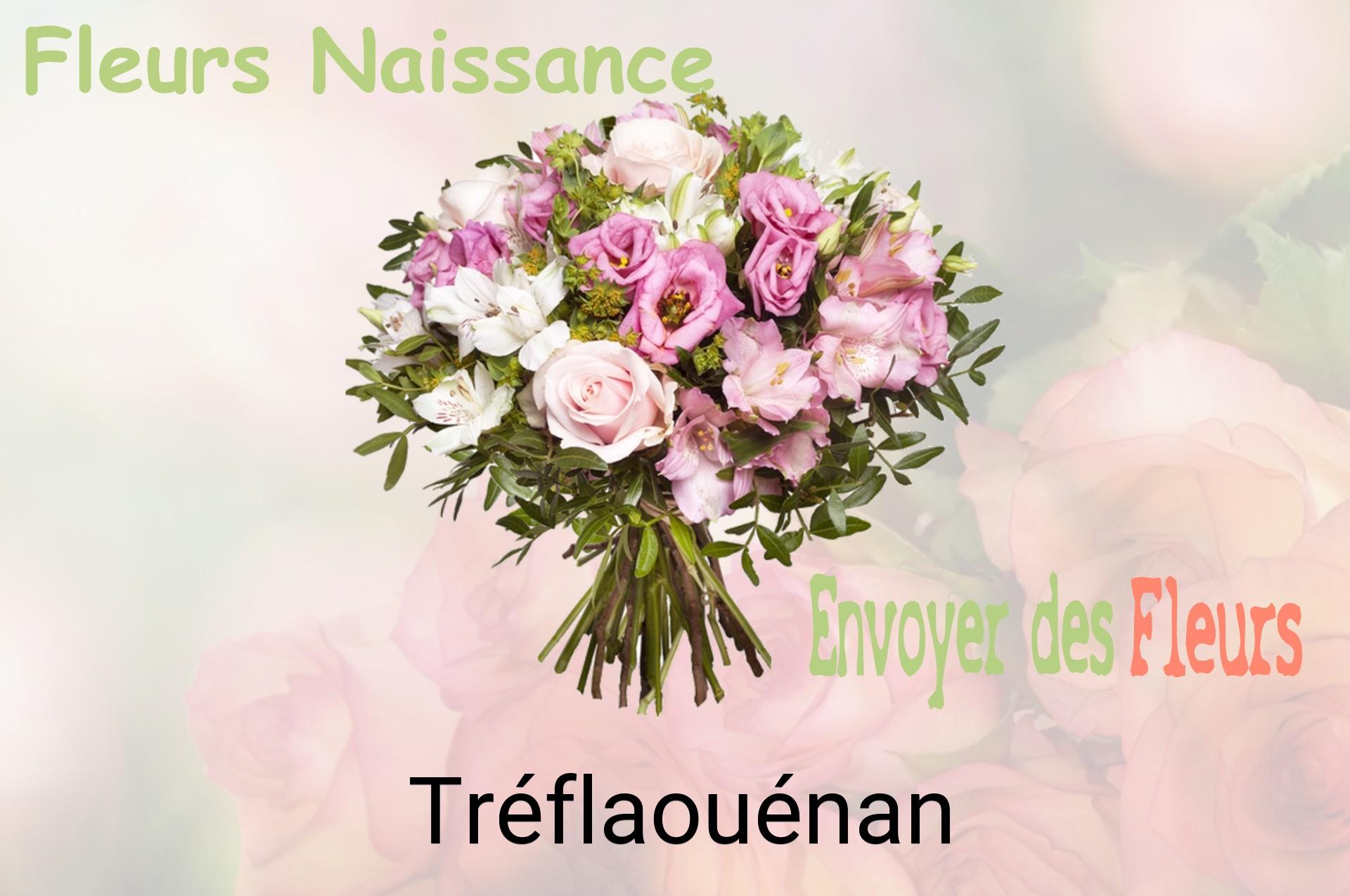 Bouquet de fleurs de naissance livré à Tréflaouénan